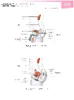Sobotta Atlas of Human Anatomy  Head,Neck,Upper Limb Volume1 2006, page 22